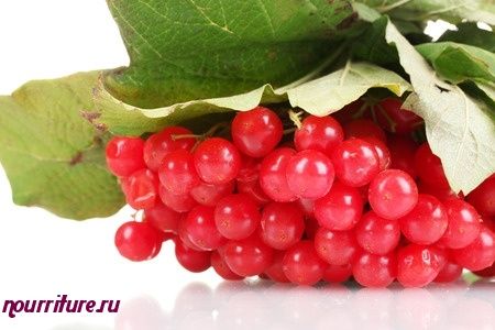 Сок калины с мякотью кулинарный рецепт дома